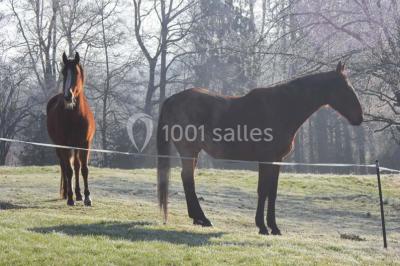 Location salle Bonnac-la-Côte (Haute-Vienne) - Château Saint Antoine #18