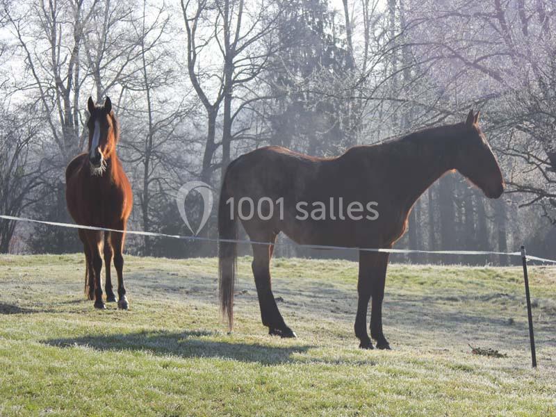 Location salle Bonnac-la-Côte (Haute-Vienne) - Château Saint Antoine #17