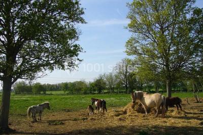 Façade d'un bâtiment éclairé en bleu la nuit, avec une fontaine au premier plan.