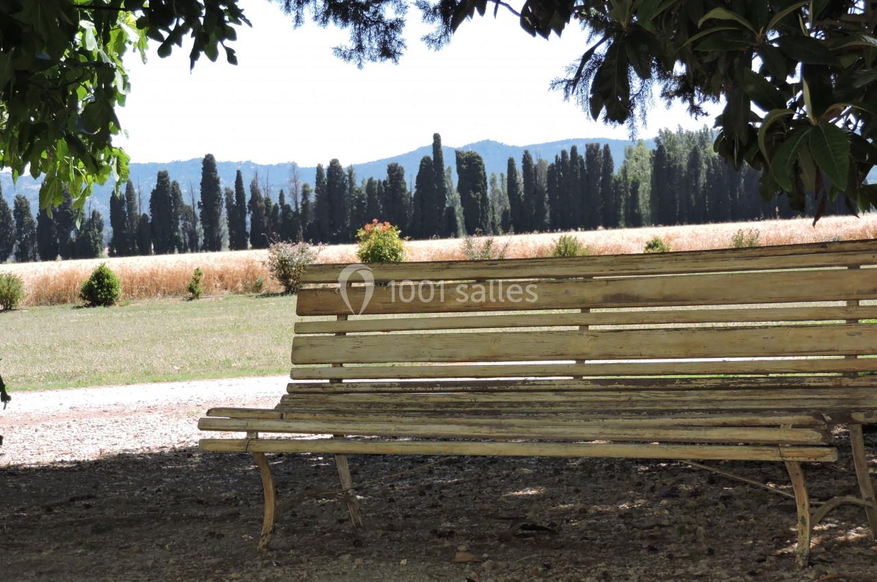 Banc en bois sous l'ombre d'un arbre, avec un champ et des cyprès en arrière-plan par une journée ensoleillée.