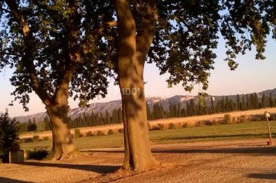 Colonne en pierre sur un socle dans un parc arboré, entourée de pelouse et d'arbres feuillus.