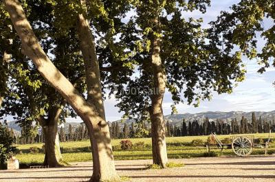 Colonne en pierre sur un socle dans un parc arboré, entourée de pelouse et d'arbres feuillus.