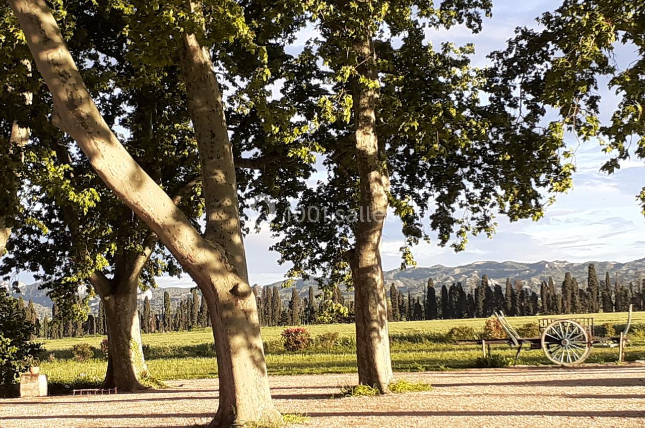Allée ombragée par de grands arbres avec vue sur un champ, des collines et une charrette en arrière-plan.