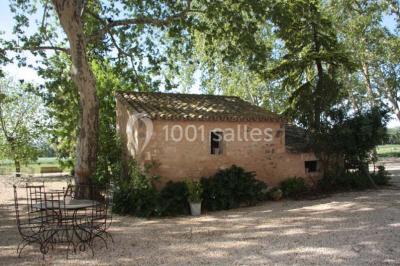 Colonne en pierre sur un socle dans un parc arboré, entourée de pelouse et d'arbres feuillus.