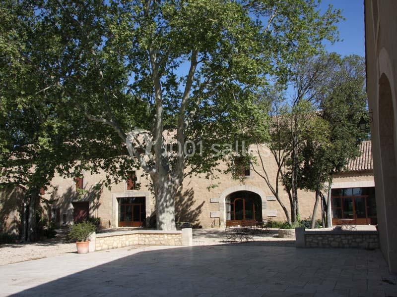 Cour pavée avec un grand arbre au centre, entourée de bâtiments en pierre aux fenêtres et portes en bois.
