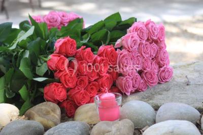 Colonne en pierre sur un socle dans un parc arboré, entourée de pelouse et d'arbres feuillus.