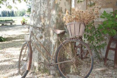 Colonne en pierre sur un socle dans un parc arboré, entourée de pelouse et d'arbres feuillus.