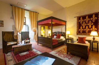 Location salle Couiza (Aude) - Château des Ducs de Joyeuse #23