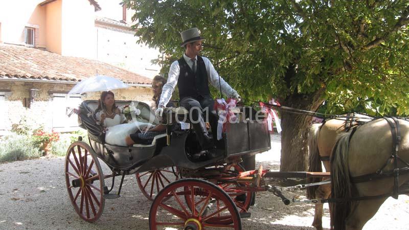 Location salle Saint-Élix-le-Château (Haute-Garonne) - Domaine Des Marcoujans #11