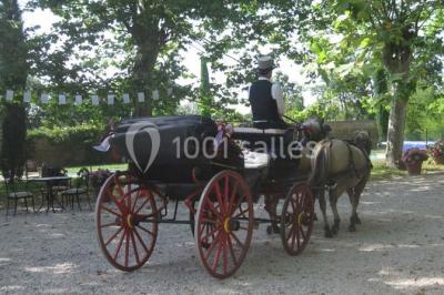 Location salle Saint-Élix-le-Château (Haute-Garonne) - Domaine Des Marcoujans #15