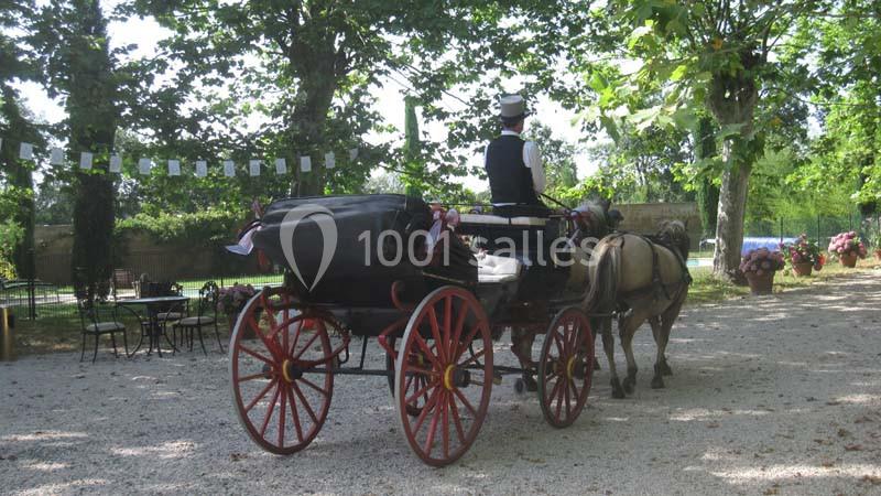 Location salle Saint-Élix-le-Château (Haute-Garonne) - Domaine Des Marcoujans #10