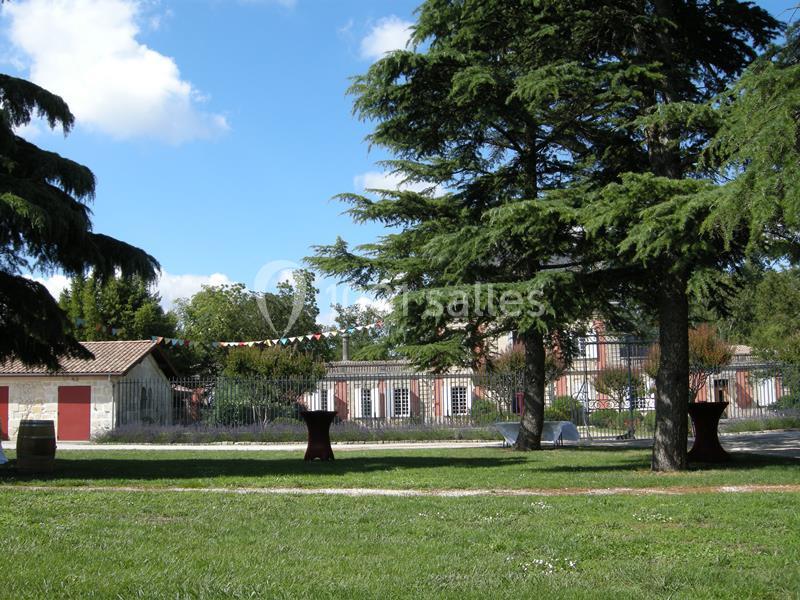 Vue d'un jardin avec pelouse, arbres, bâtiments en arrière-plan et guirlandes colorées suspendues.