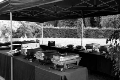 Roses roses et blanches en gros plan devant une pelouse et des arbres verdoyants sous un ciel clair.