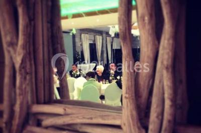 Roses roses et blanches en gros plan devant une pelouse et des arbres verdoyants sous un ciel clair.