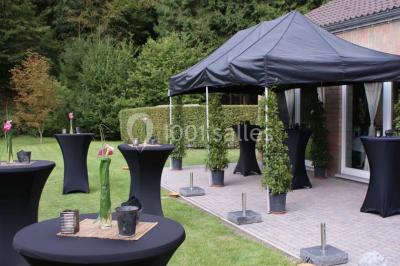 Roses roses et blanches en gros plan devant une pelouse et des arbres verdoyants sous un ciel clair.