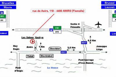 Roses roses et blanches en gros plan devant une pelouse et des arbres verdoyants sous un ciel clair.