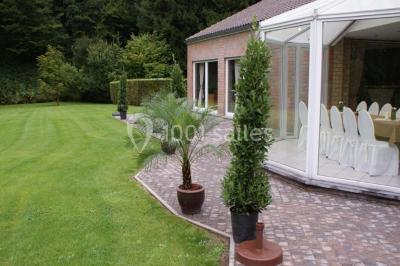 Roses roses et blanches en gros plan devant une pelouse et des arbres verdoyants sous un ciel clair.