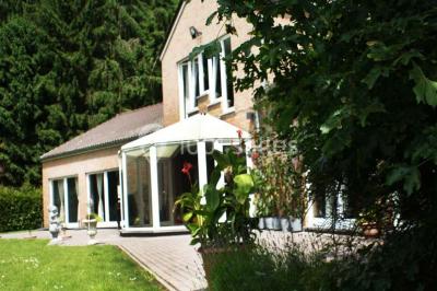 Roses roses et blanches en gros plan devant une pelouse et des arbres verdoyants sous un ciel clair.