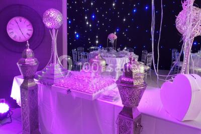 Roses roses et blanches en gros plan devant une pelouse et des arbres verdoyants sous un ciel clair.