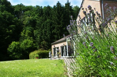 Miniature Location salle Flémalle (Liège) - Salons Ypsilon #2 Salle de conférence lumineuse avec des rangées de chaises noires, un écran de projection et un tableau blanc.