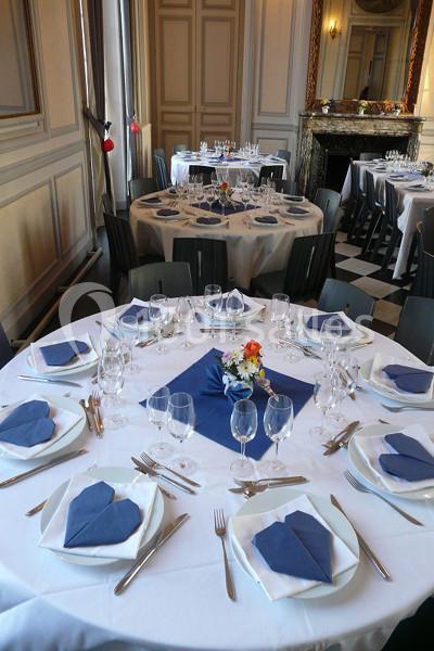 Location salle Liré (Maine-et-Loire) - Château de Turmelière #6