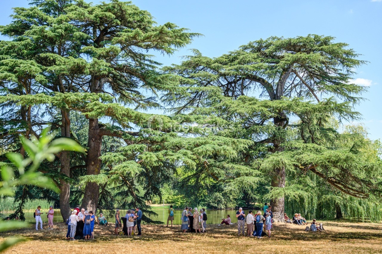 Location salle Liré (Maine-et-Loire) - Château de Turmelière #10