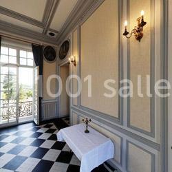 Location salle Liré (Maine-et-Loire) - Château de Turmelière #6