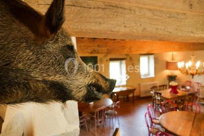 Salon rustique avec poutres apparentes, cheminée, mobilier en cuir et table basse en bois rouge dans un cadre chaleureux.