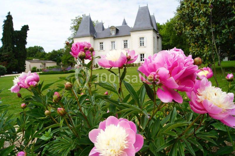 Massif de pivoines roses en premier plan devant un château blanc entouré de verdure.