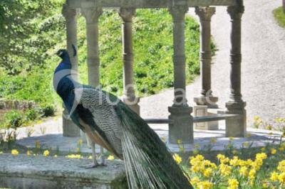 Location salle Chantilly (Oise) - Le Potager des Princes #25