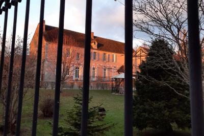 Arche de cérémonie décorée de fleurs blanches et de voilages verts, installée dans un jardin ombragé.