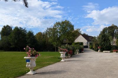 Arche de cérémonie décorée de fleurs blanches et de voilages verts, installée dans un jardin ombragé.