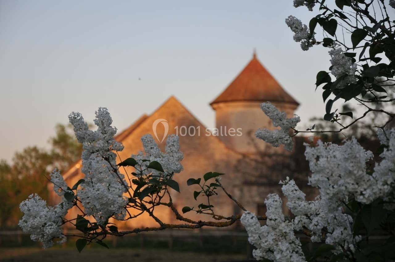Fleurs de lilas blanches au premier plan avec un bâtiment en pierre et un toit conique éclairé par le soleil couchant.