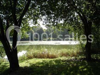 Vue d'un lac entouré d'arbres et de végétation, baigné par une lumière naturelle.