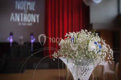 Location salle Le Plessis-Macé (Maine-et-Loire) - Espace Longuenée #15