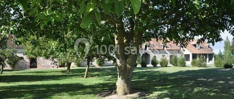 Arbre au premier plan dans un jardin verdoyant, avec une maison en pierre et toit en tuiles en arrière-plan.