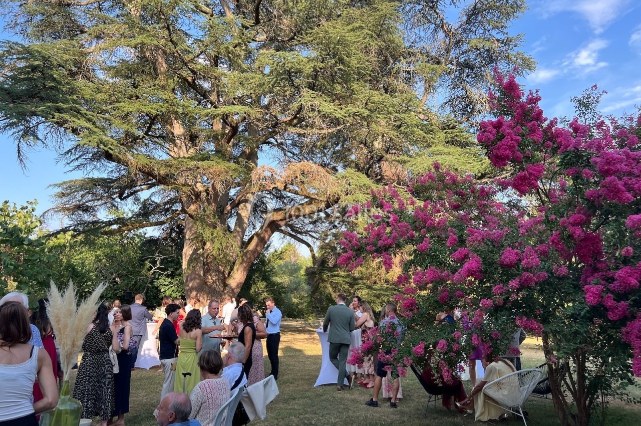 Groupe de personnes réunies dans un jardin, sous de grands arbres et près d'un arbuste fleuri rose.