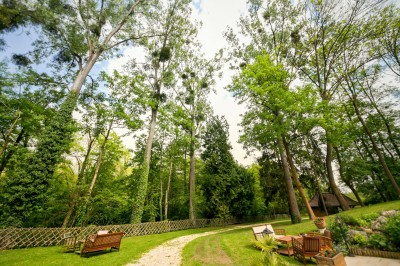 Miniature Location salle Guérard (Seine-et-Marne) - Moulin Bicheret Réceptions #28 Espace extérieur avec terrasse pavée, pergola en bois, mobilier de jardin et verdure environnante.