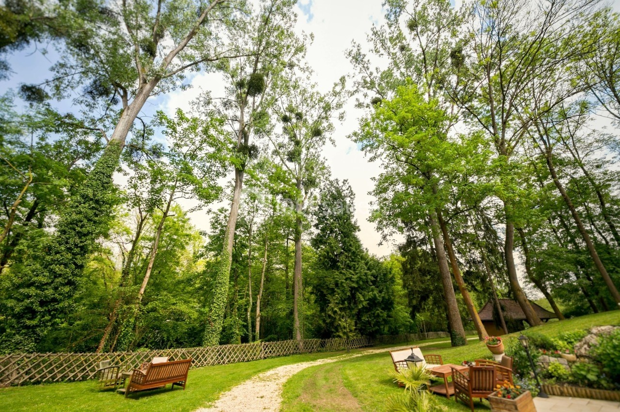 Jardin verdoyant avec des arbres hauts, des bancs en bois et un chemin de gravier serpentant entre les espaces verts.