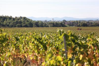 Location salle Hyères (Var) - Château des Anglades #39