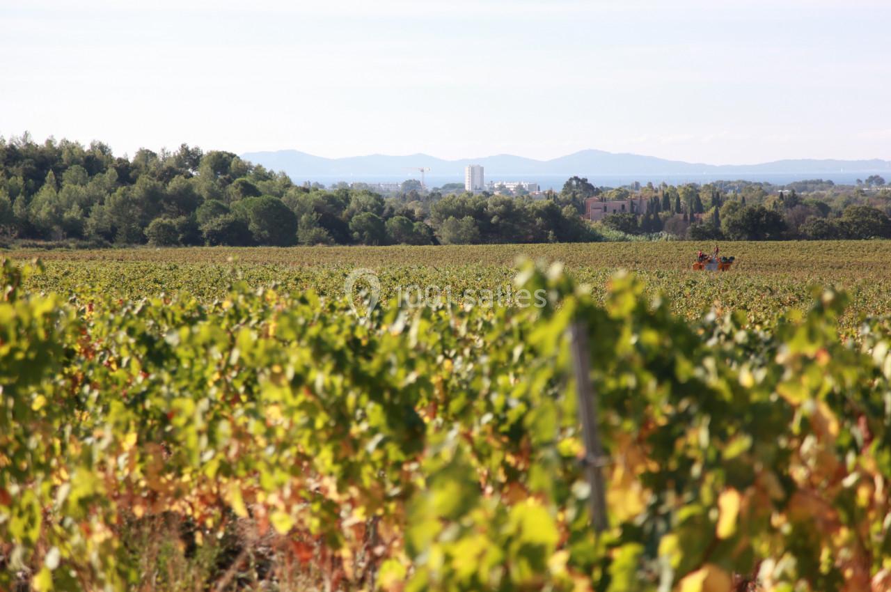 Location salle Hyères (Var) - Château des Anglades #23