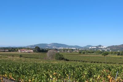 Location salle Hyères (Var) - Château des Anglades #39