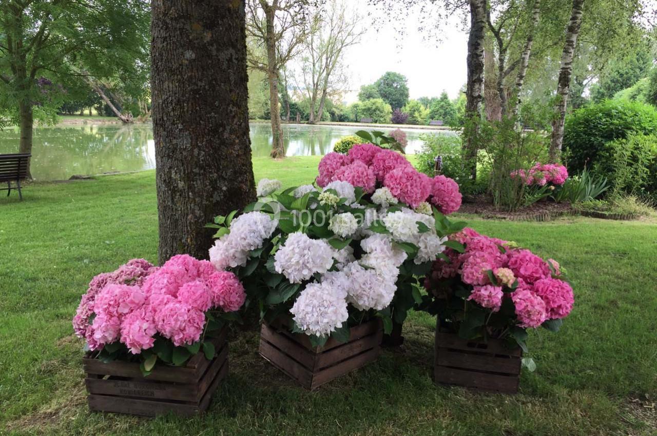 Hortensias roses et blancs en pots en bois disposés sous un arbre près d'un étang dans un cadre verdoyant.