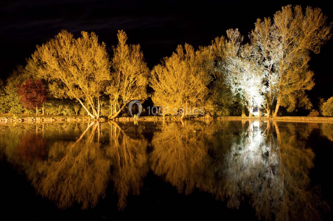 Reflet d'arbres illuminés sur l'eau calme d'un étang, capturé de nuit avec un ciel sombre.