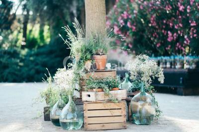 Miniature Location salle Pomérols (Hérault) - Domaine Fon de Rey #11 Piscine extérieure entourée de chaises longues, de végétation luxuriante et de grands arbres sous un ciel bleu.