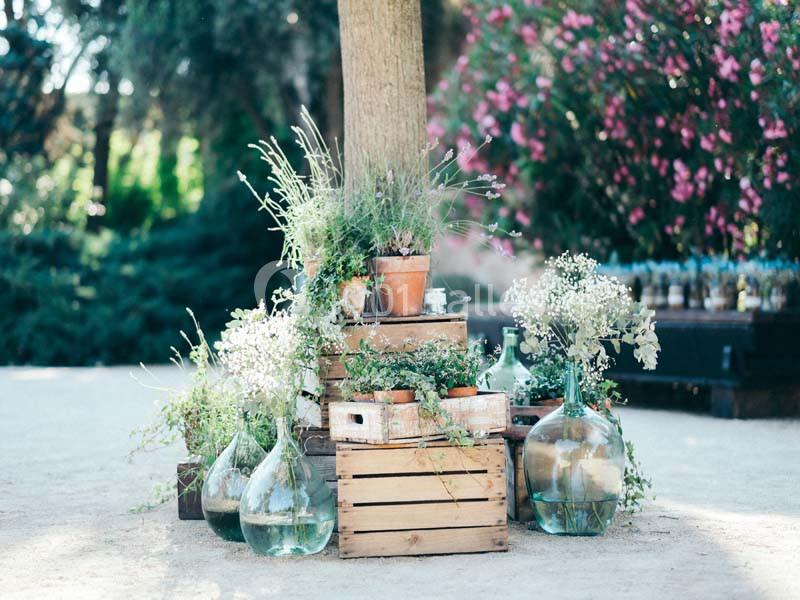 Location salle Pomérols (Hérault) - Domaine Fon de Rey #11 Arrangement de plantes, pots en terre cuite et bonbonnes en verre disposés autour d'un tronc d'arbre en extérieur.