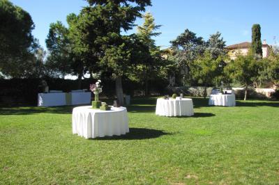 Miniature Location salle Pomérols (Hérault) - Domaine Fon de Rey #35 Piscine extérieure entourée de chaises longues, de végétation luxuriante et de grands arbres sous un ciel bleu.