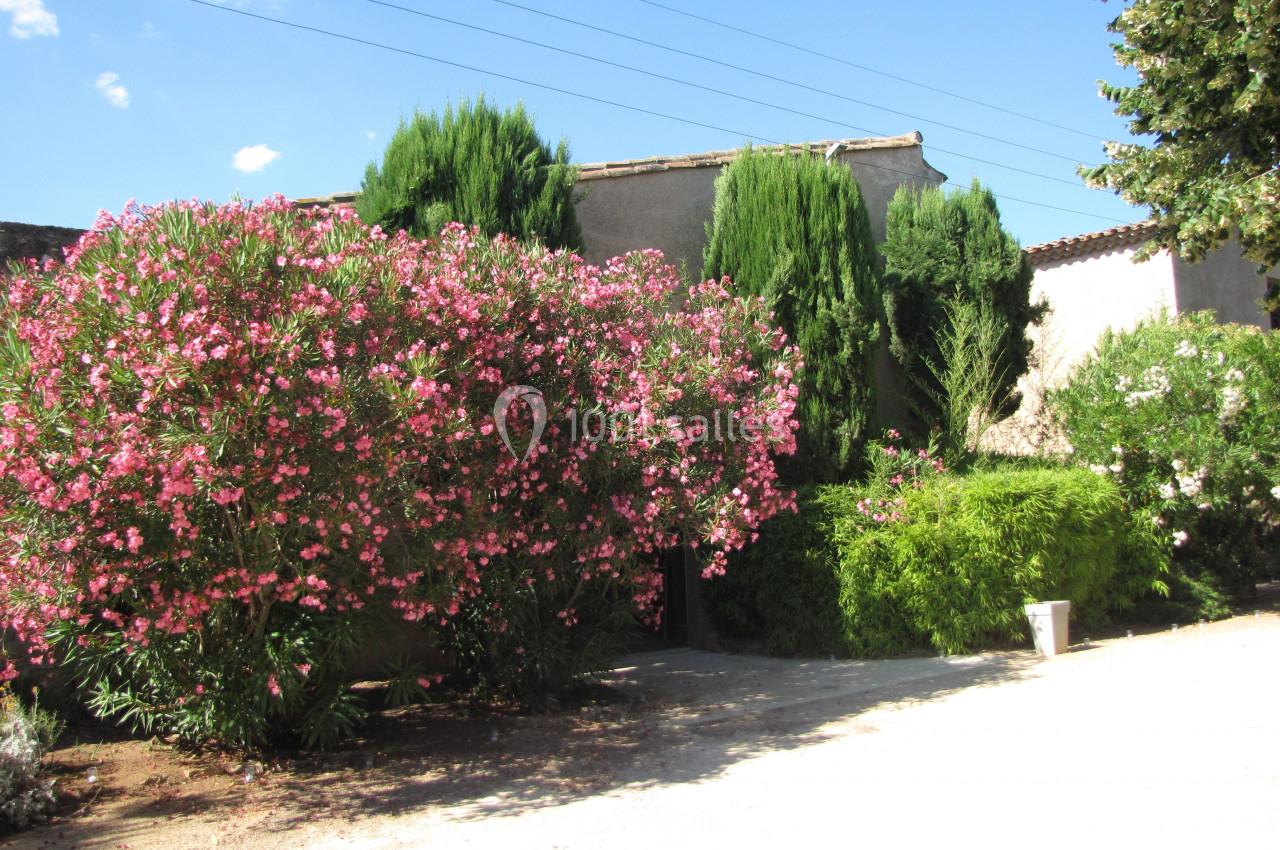 Location salle Pomérols (Hérault) - Domaine Fon de Rey #40 Jardin avec des lauriers roses en fleurs, des arbres verts et une maison en arrière-plan sous un ciel dégagé.