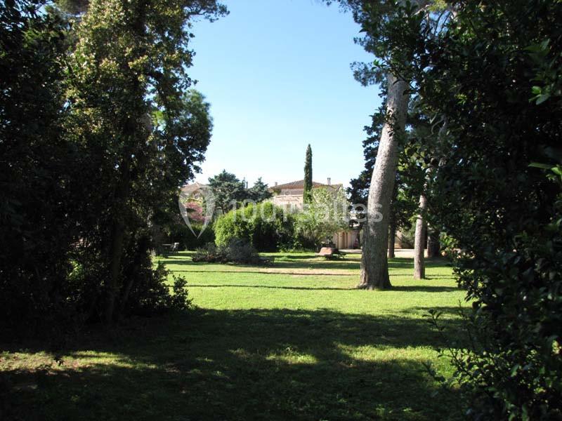 Location salle Pomérols (Hérault) - Domaine Fon de Rey #21 Vue d'un jardin verdoyant entouré d'arbres, avec des bâtiments en arrière-plan sous un ciel dégagé.