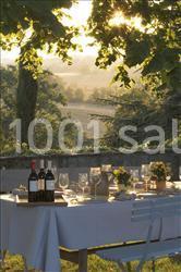 Location salle Laplume (Lot-et-Garonne) - Château De Lassalle #7